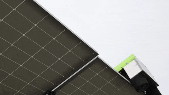 Exceptional Adaptability Exceptional Adaptability